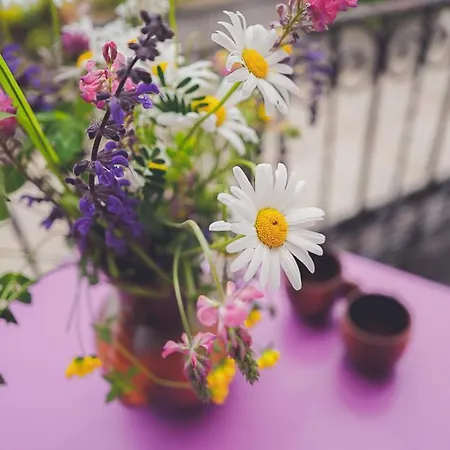 Guest Haus On The Vendégház