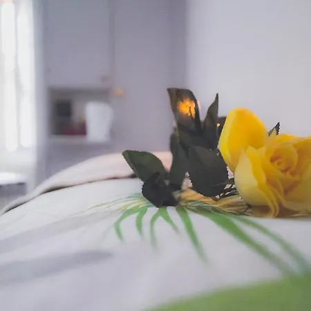 Vendégház Guest Haus On The 3*