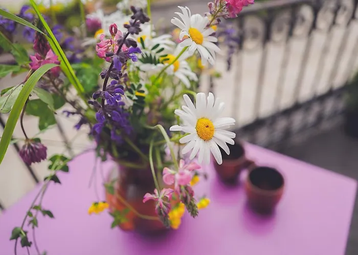 Guest Haus On The Gæstehus